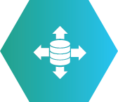 Data Management Logo