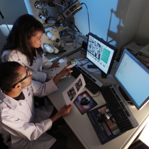 Manual workflows in clinical trials
